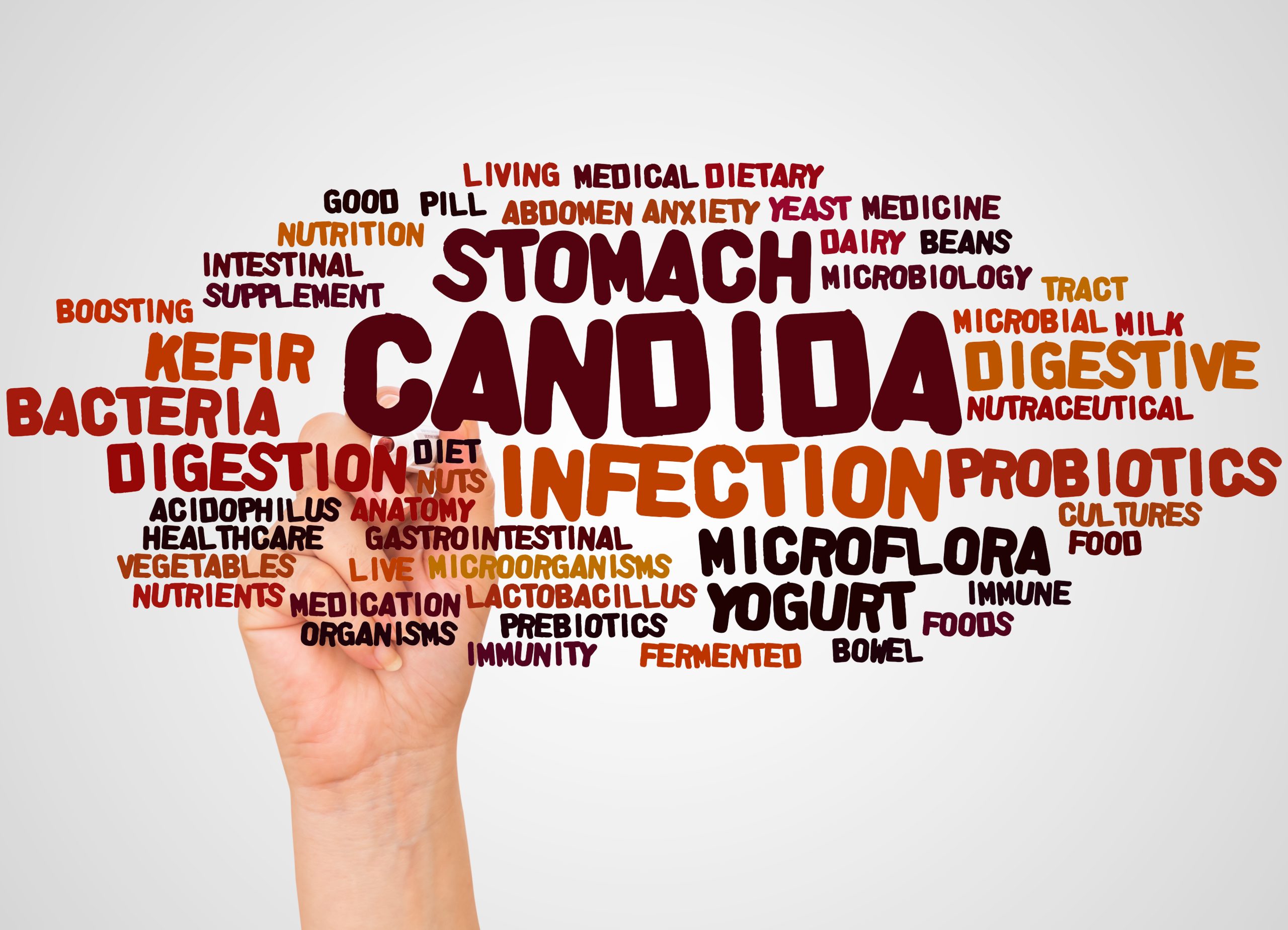 intestino e candida